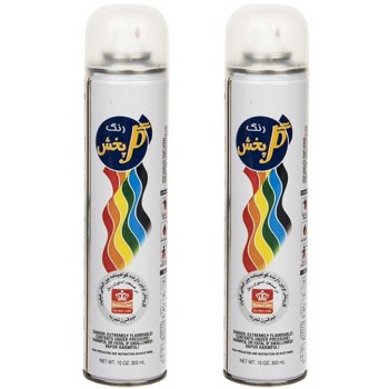 اسپری براق کننده گل پخش مدل کلر حجم 300 میلی لیتر بسته 2 عددی