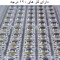 پروژکتور رشد گیاه 50 وات مدل full spectrum